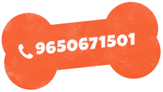 https://kiga.in/wp-content/uploads/2023/07/admin-ajax-1.png